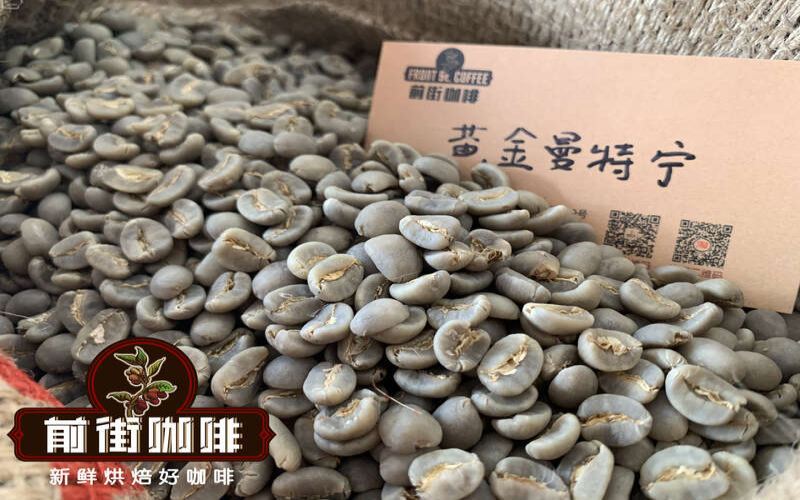 印尼PWN黄金曼特宁G1水洗精品咖啡豆：品牌故事、庄园特色与风味解析