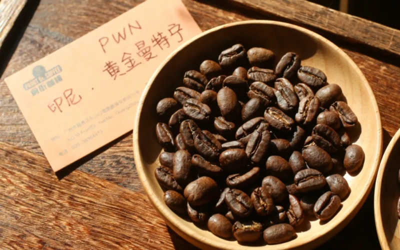 印尼精品曼特宁怎么选？前街PWN黄金曼特宁风味与等级全解析