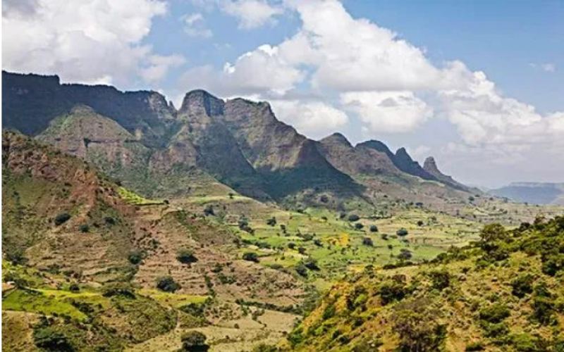 Yirgacheffe Coffee Beans | Introduction to the Coffee Flavor and Producing Region of Medium-Light Roasted Ethiopian Yirgacheffe