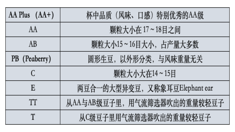 肯尼亚咖啡产区全解析：从SL豆种、分级制度到涅里等十四大产地