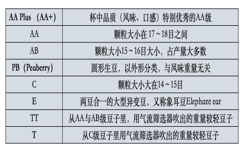肯尼亚咖啡产区全解析：从SL豆种、分级制度到涅里等十四大产地