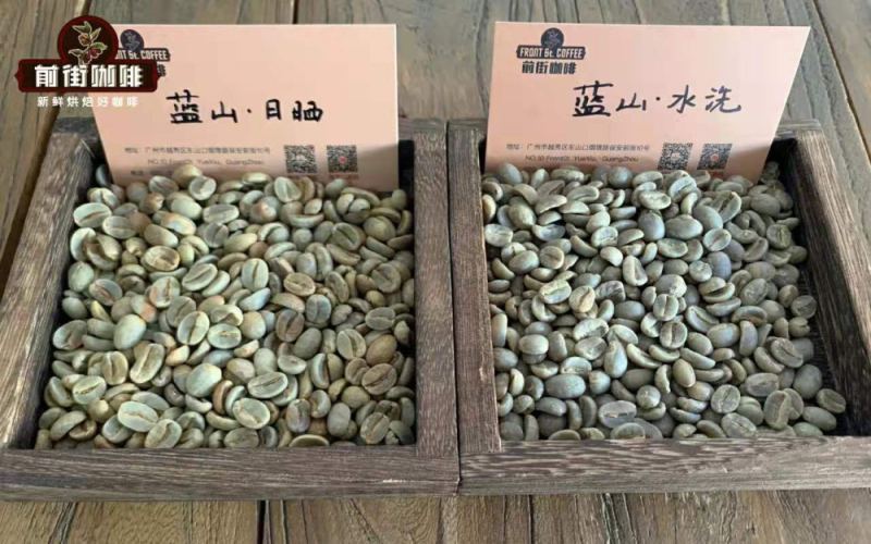 牙买加蓝山一号咖啡豆价格解析与真假鉴别及冲煮风味指南