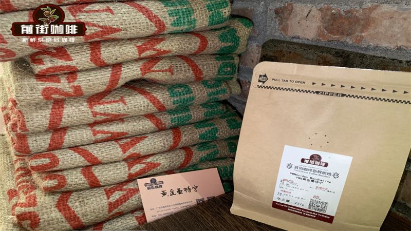 PWN黄金曼特宁手冲全指南：从Ateng品种到湿刨风味，前街教你冲出醇厚口感