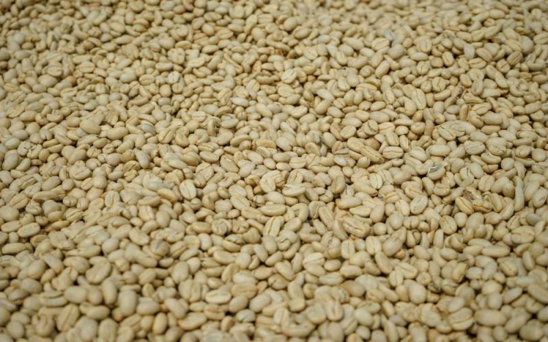 耶加雪菲日晒豆风味解析及冷萃咖啡制作要点与品牌选择指南