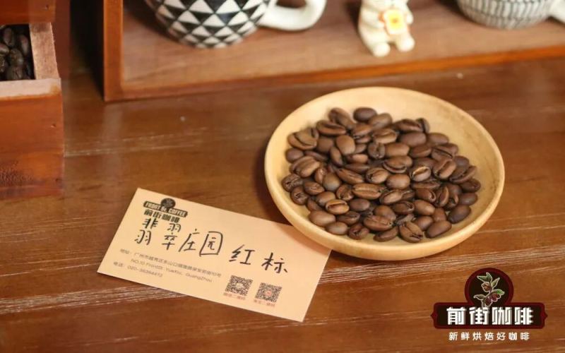 French Press Coffee | What are the differences in coffee flavors of Geisha from different regions? How to use a French press to brew a delicious cup of Geisha coffee?