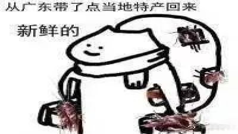 全自动咖啡机遇蟑螂困扰：日常清洁与保养不可忽视的关键细节
