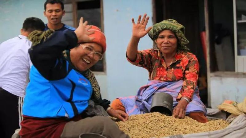 Asian Pour-Over Coffee Bean Recommendations | What Does Indonesian Sumatra Mandheling Taste Like? How to Make Mandheling Pour-Over Coffee at Home: Method and Parameters