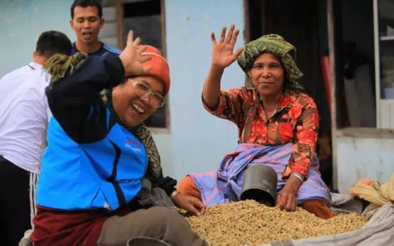 Asian Pour-Over Coffee Bean Recommendations | What Does Indonesian Sumatra Mandheling Taste Like? How to Make Mandheling Pour-Over Coffee at Home: Method and Parameters