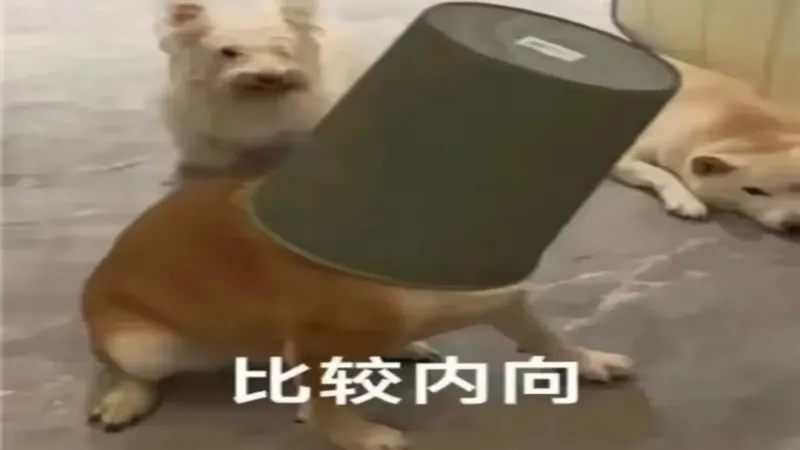 咖啡萃取不足与过度的辨别方法：从酸苦咸味、余韵及风味表现判断萃取问题