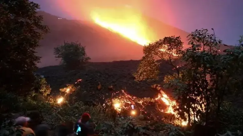 厄尔尼诺加剧危地马拉旱情：林火频发与电力告急双重冲击咖啡产业