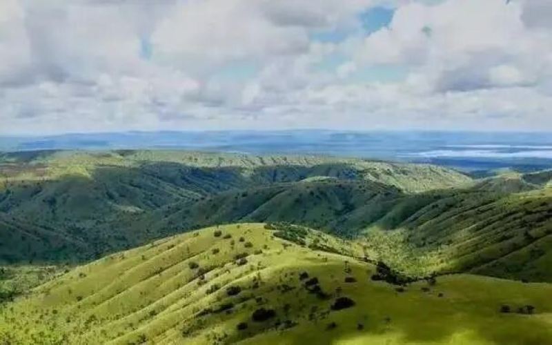 African Single-Origin Coffee Beans | What Coffee Regions Are There in Rwanda? What Coffee Varieties Are Mainly Grown? What Coffee Flavors Does Rwandan Washed Red Bourbon Present?