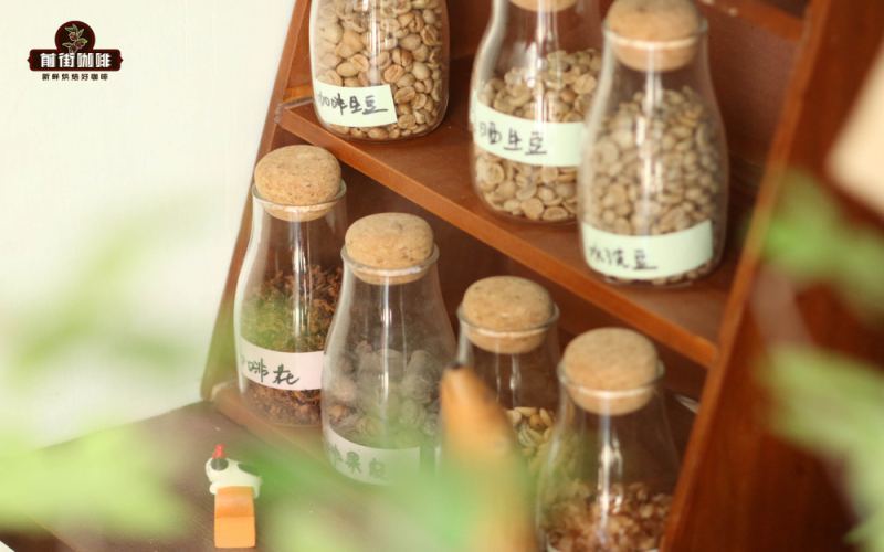 意式浓缩咖啡品鉴指南：从萃取标准到正宗喝法的专业解读