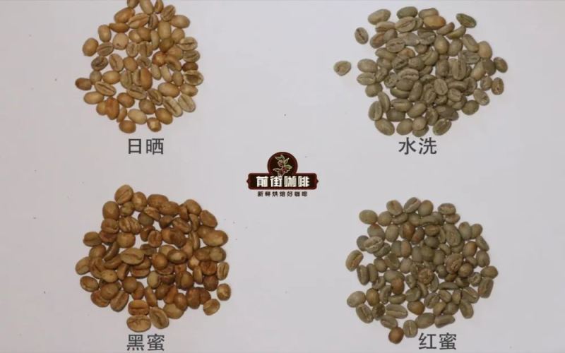 咖啡豆三大处理法全解析：日晒、水洗、蜜处理及酵素厌氧工艺对比