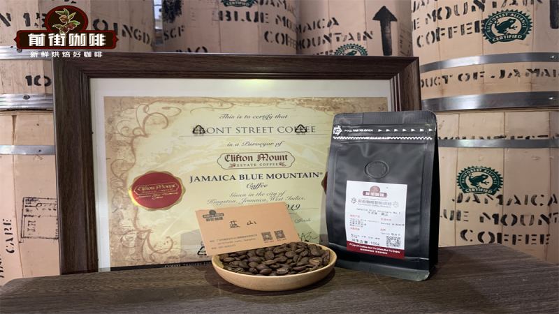 How to Choose the Roast Level for Blue Mountain Coffee Beans? A Detailed Guide to Flavor Differences Between Medium-Dark and Light Roasts and Pour-Over Parameters