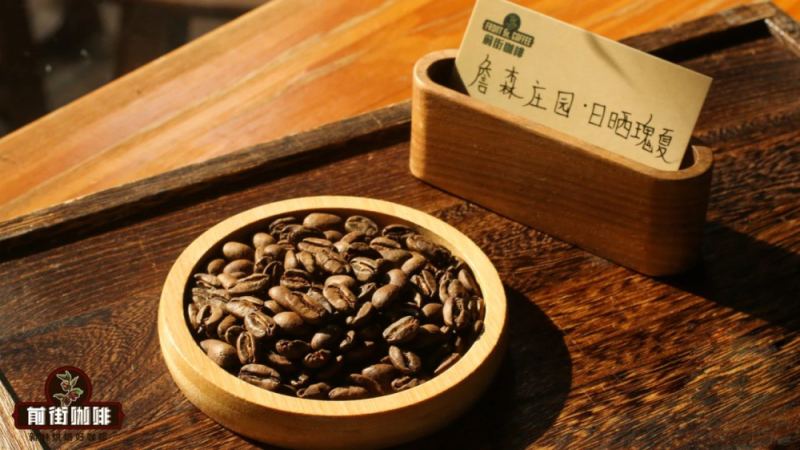 巴拿马詹森庄园瑰夏咖啡虹吸壶操作步骤与手冲参数详解