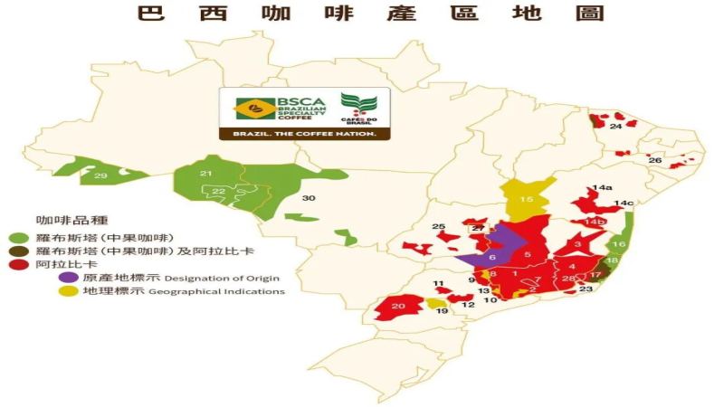 Main Coffee-Producing Regions in Brazil | What Are the Green Coffee Bean Grading Standards in Brazil? How Do You Describe the Flavor of Brazilian Coffee Beans?