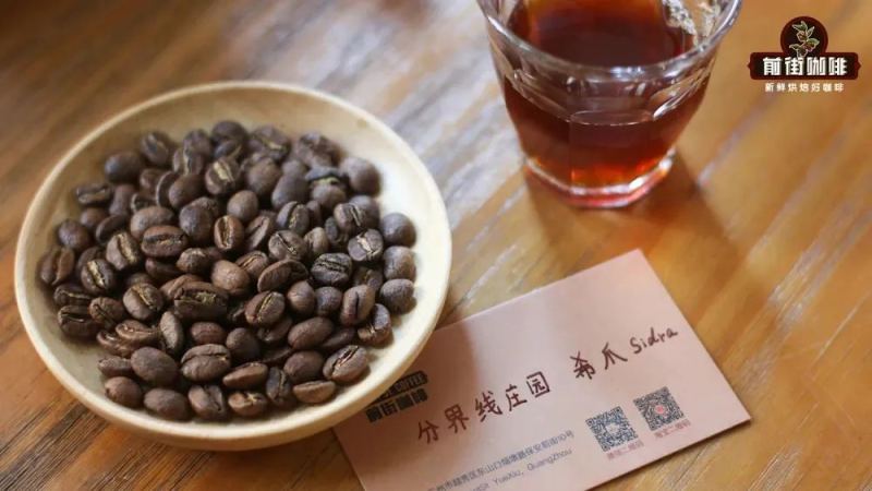 哥伦比亚分界线庄园希爪咖啡豆冲煮要点：双重厌氧日晒萃取技巧解析