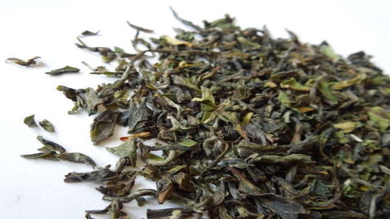 红茶香气成因解析：茶树六大化合物如何塑造滋味与蜂蜜香