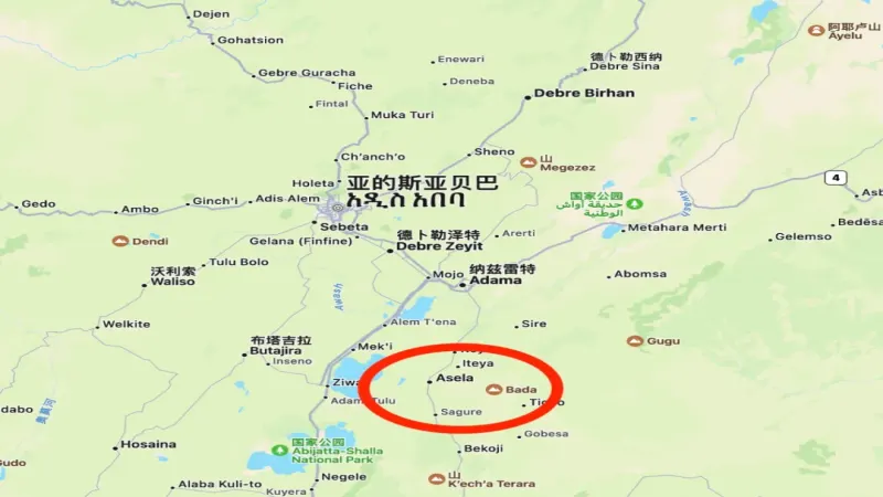 埃塞俄比亚南部安全局势升级，咖啡产区面临潜在冲击