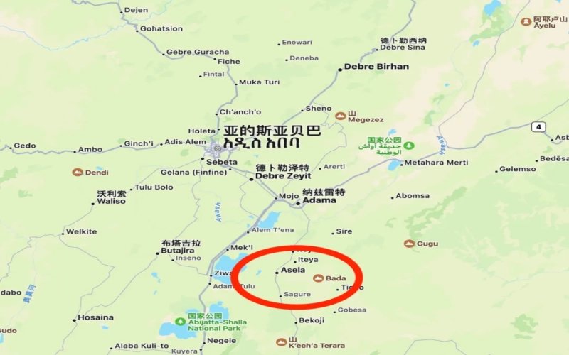 埃塞俄比亚南部安全局势升级，咖啡产区面临潜在冲击