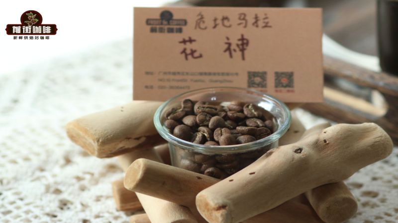 危地马拉花神咖啡冲煮指南：养豆要点与V60手冲、意式浓缩实操参数