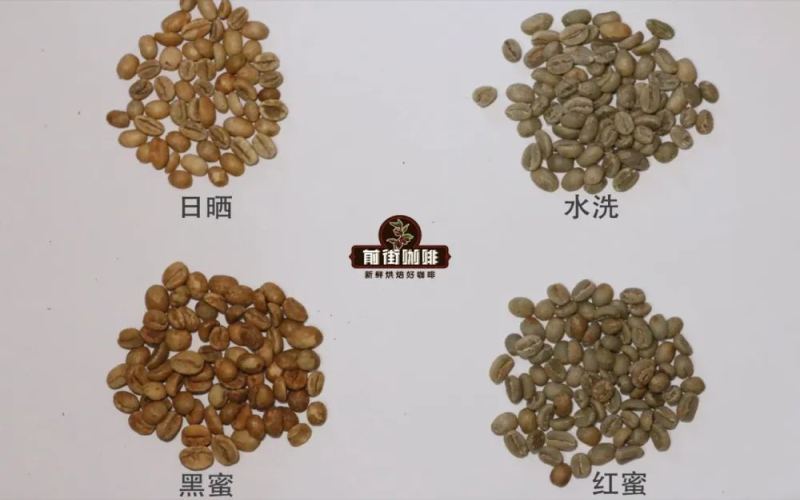 水洗处理法适合哪些咖啡品种？详解水洗咖啡豆的风味特点与完整处理流程