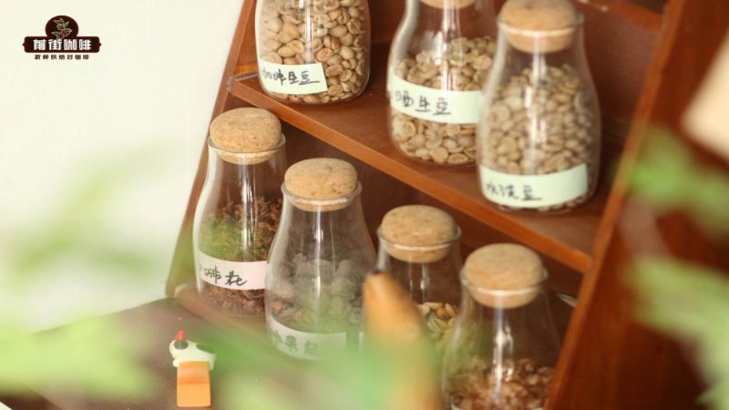 曼特宁咖啡豆属于阿拉比卡吗？印尼苏门答腊产区品种与处理法全面解析