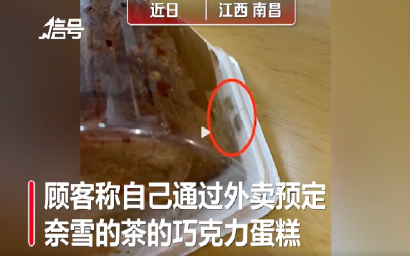 奈雪巧克力蛋糕外卖现两条活虫，门店称离店近三小时责任难界定