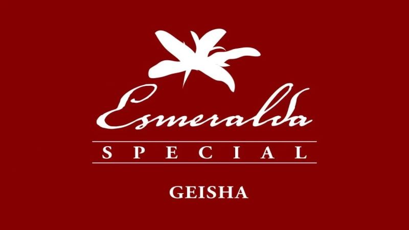 Hacienda La Esmeralda Red Label Geisha: How to Read Panama Geisha's Grading System