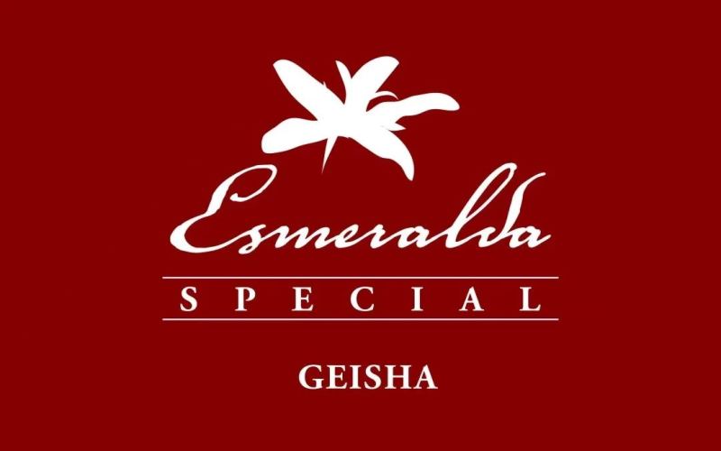 Hacienda La Esmeralda Red Label Geisha: How to Read Panama Geisha's Grading System
