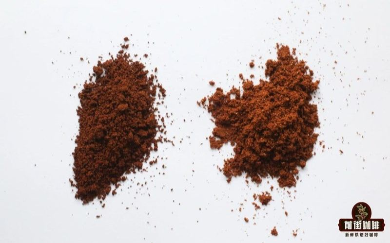 Light to Dark Roast: The Flavor Spectrum of Coffee Beans for Your Coffee Machine


