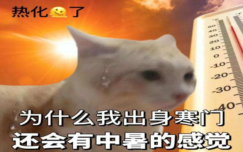 瑞幸门店空调冷气过强引热议：室外高温与室内16℃冰窖体验的两极反差