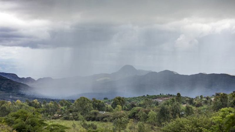 喜马拉雅康格拉高山红茶全解：种植源流、风味特点与特米茶园有机茶