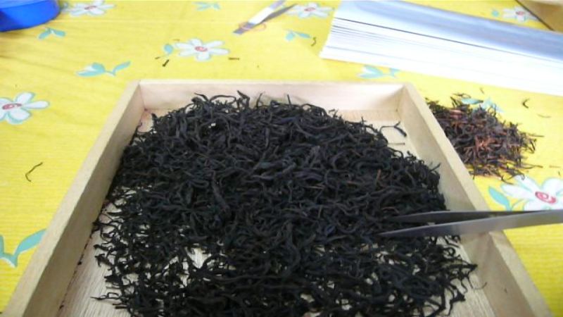 台茶18号红玉红茶的风味密码：蜜香从何而来，为何被称为台湾最好的红茶