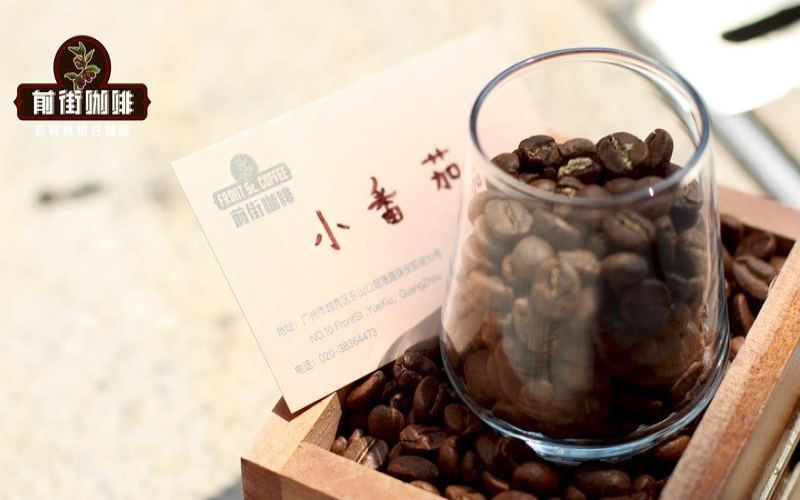 How to Choose Sun-Dried Coffee Beans by Roast Level