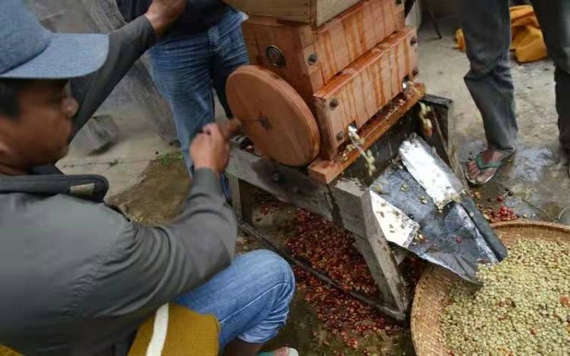 印尼湿刨法解析：曼特宁咖啡的工序特点与风味成因
