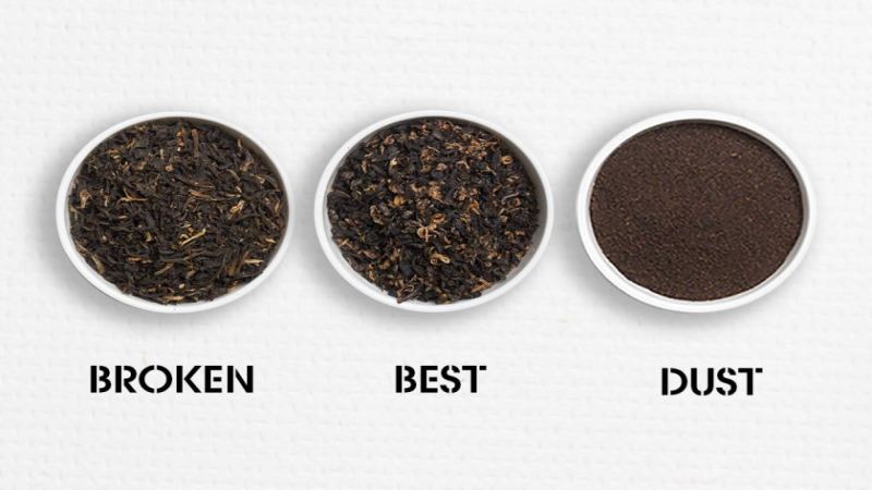 从松烟小种到CTC红碎茶：三大红茶品类工艺与品质差异全解析
