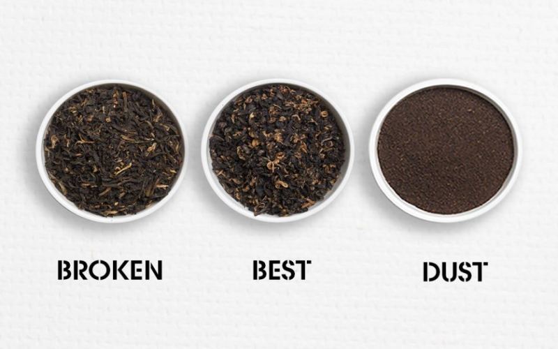 从松烟小种到CTC红碎茶：三大红茶品类工艺与品质差异全解析