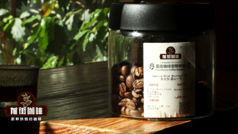 正宗牙买加蓝山一号咖啡豆品牌选购指南与风味口感烘焙冲煮全解析