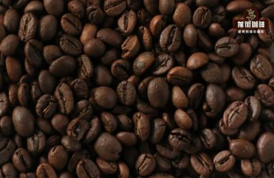Introduction to Coffee Bean Roasting Stages | What Are the Differences and Characteristics of Dark, Medium, and Light Roasts? A Comparison of Flavor Changes in Coffee Beans at Different Roast Levels



