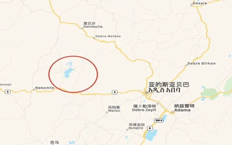 埃塞俄比亚咖啡出口面临14亿美元损失：安全冲突与欧盟新规双重夹击