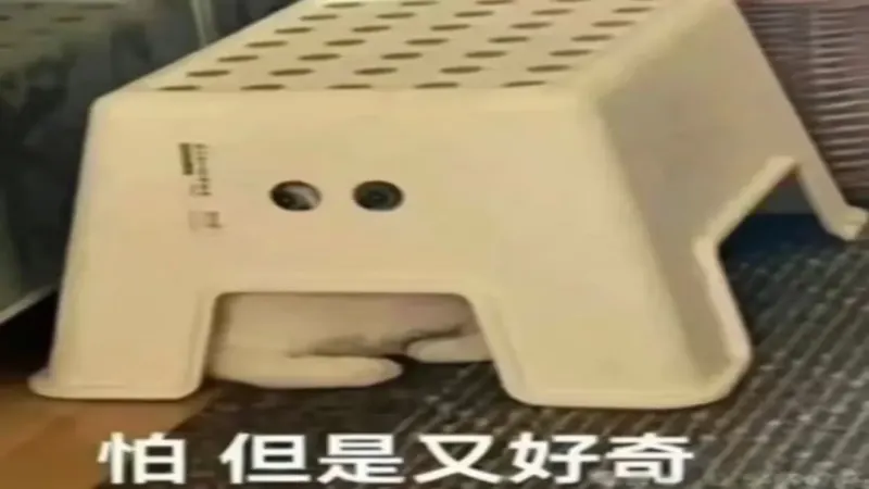冷萃咖啡要不要加闷蒸？低温浸泡与热水预浸的实验对比与原理分析