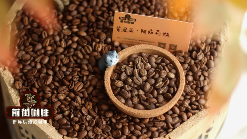A Guide to Choosing Coffee Beans for the Bialetti Moka Pot by Roast Level