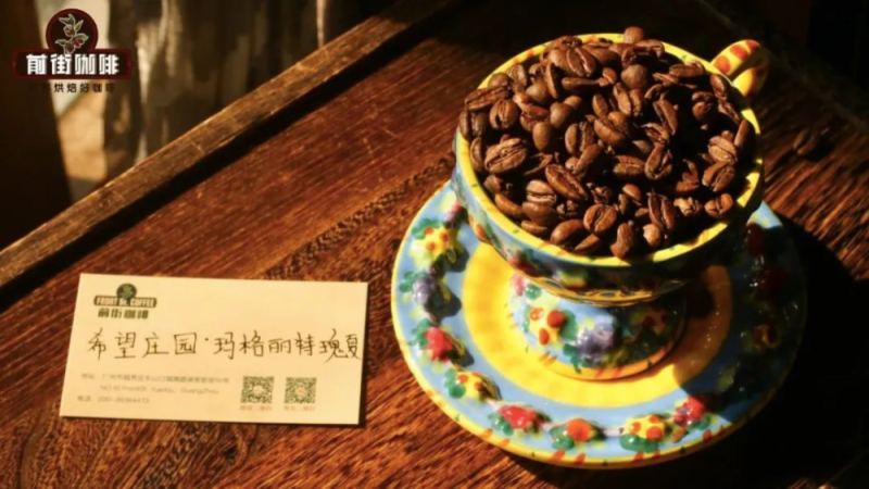 Colombia Cauca Region Finca La Esperanza Geisha Coffee Beans: A Full Analysis of the Estate Background, Terroir Conditions, and Variety Experiments