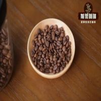 Huakui Coffee Beans | Ethiopia's Original Sidamo Guji Region Sun-Dried Huakui Coffee: Region, Flavor Characteristics, and Is It Related to Geisha?