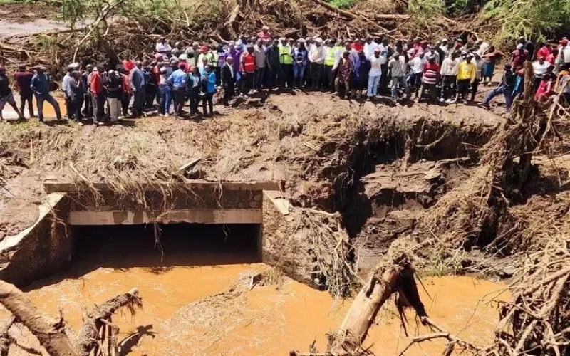 肯尼亚中部咖啡产区遭遇持续暴雨，涅里、基安布等产地损失严重，下产季前景堪忧