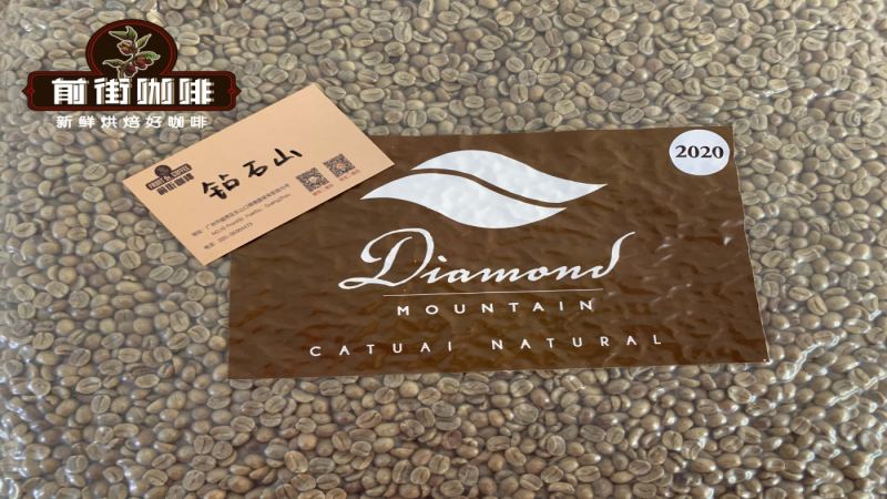 翡翠庄园钻石山咖啡品种解析：卡杜拉与卡杜艾的日晒水洗风味对比