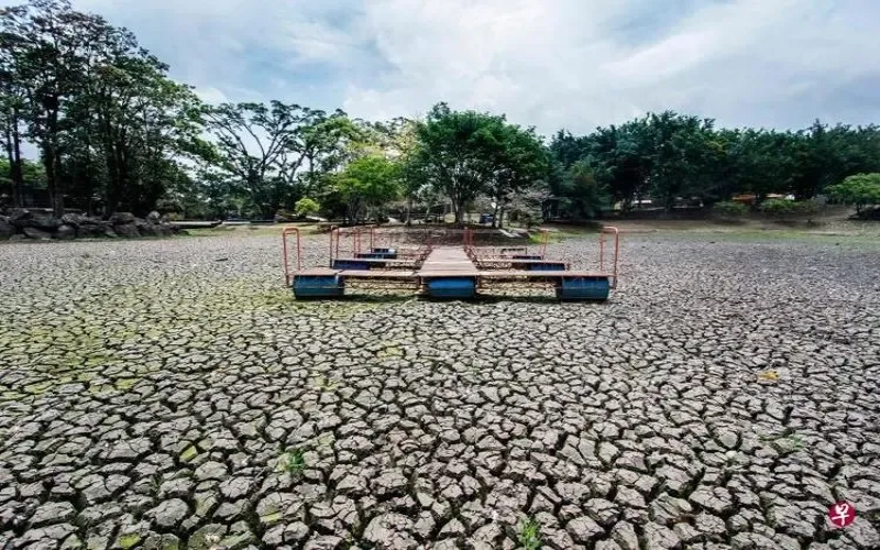 气候变迁冲击哥斯达黎加咖啡产业：干旱致减产，出口与就业面临连锁压力