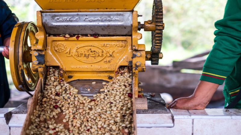 Comparison of Ethiopia's Two Major Specialty Coffee Regions: Flavor Differences Between Yirgacheffe and Sidamo and Representative Bean Recommendations