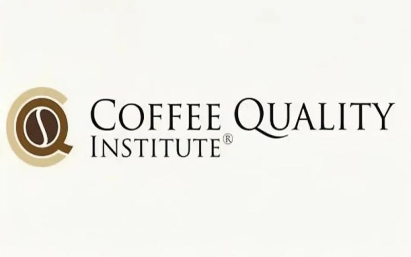 Q-Grader咖啡品质鉴定师认证全解析：考试内容、费用与职业价值探讨